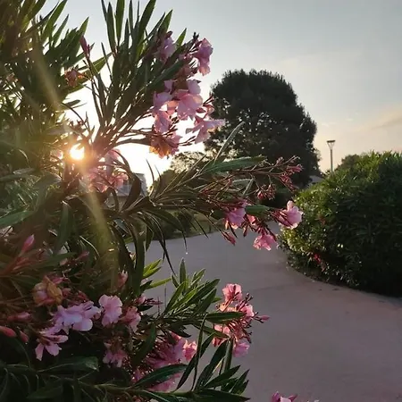 Fiori Di Cala Rossa Hoteliere * Леччи